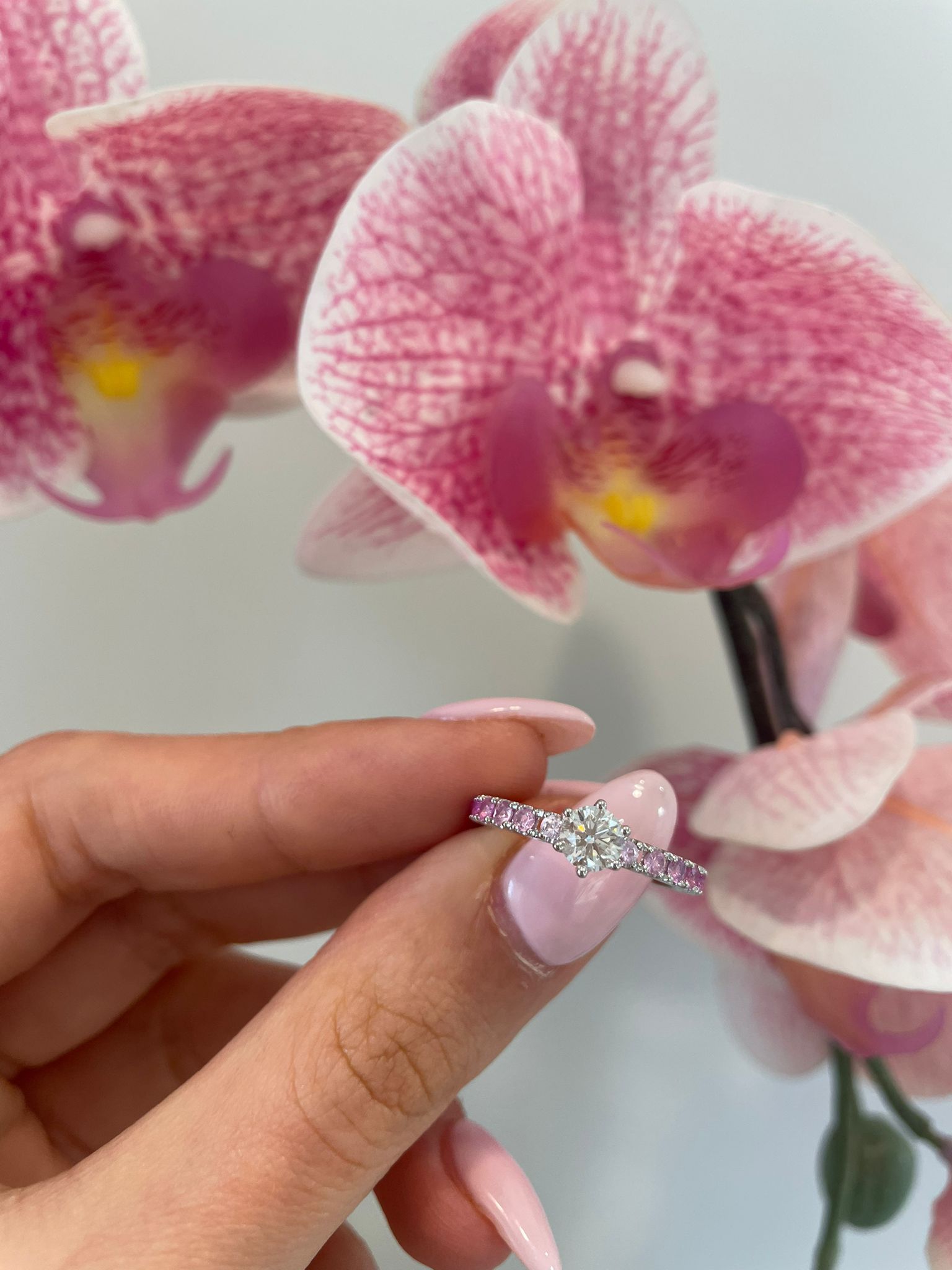 Solitario Boreale a 6 Punte - immagine 4