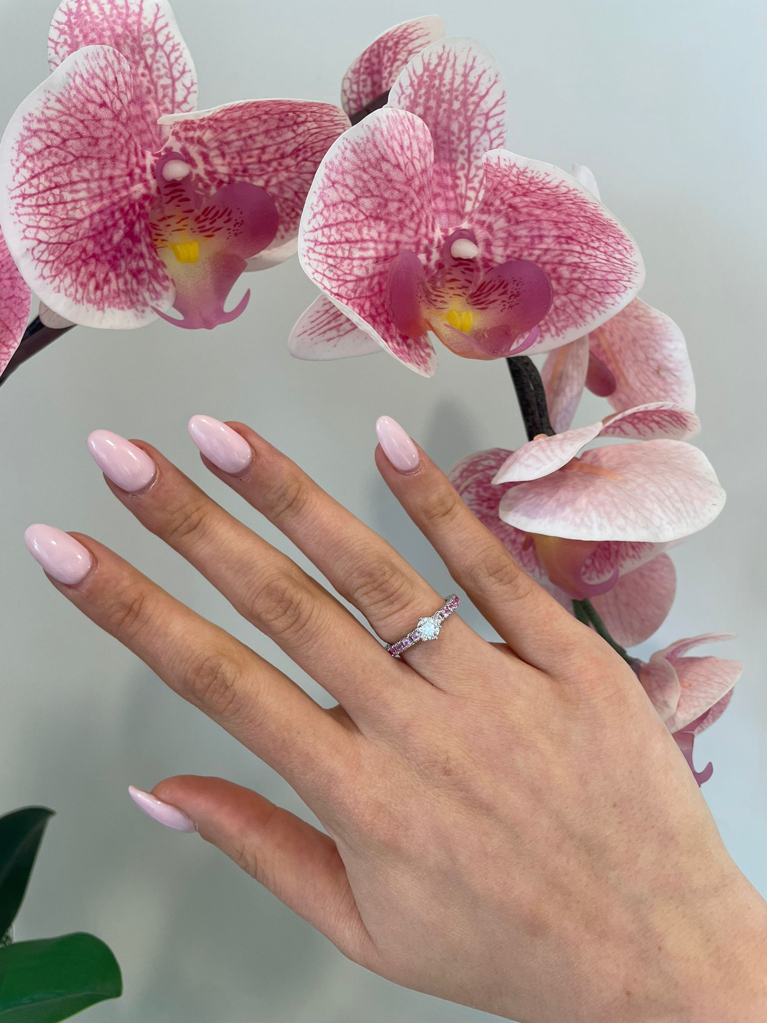 Solitario Boreale a 6 Punte - immagine 5